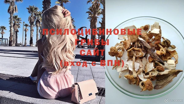 спайс Аркадак