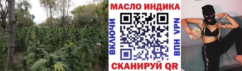 цена наркотик Кашин ТГК THC oil