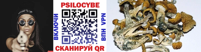 Галлюциногенные грибы прущие грибы  сайты даркнета официальный сайт  Кашин  ОМГ ОМГ рабочий сайт 